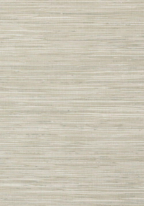 JINDO GRASS T75111